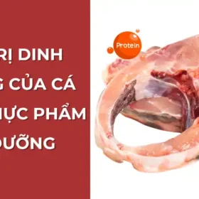 Giá trị dinh dưỡng của cá chép: Thực phẩm bổ dưỡng.