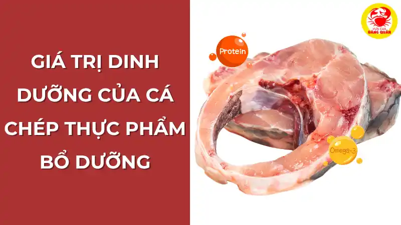 Giá trị dinh dưỡng của cá chép: Thực phẩm bổ dưỡng.