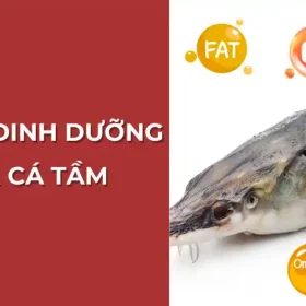 Giá trị dinh dưỡng của cá tầm: Các dưỡng chất quý giá.