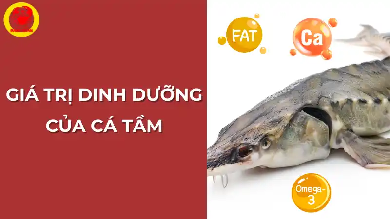 Giá trị dinh dưỡng của cá tầm: Các dưỡng chất quý giá.