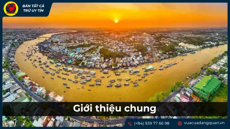 Toàn cảnh Cần Thơ với sông nước và cầu Cần Thơ lúc hoàng hôn, thể hiện không gian ẩm thực đa dạng