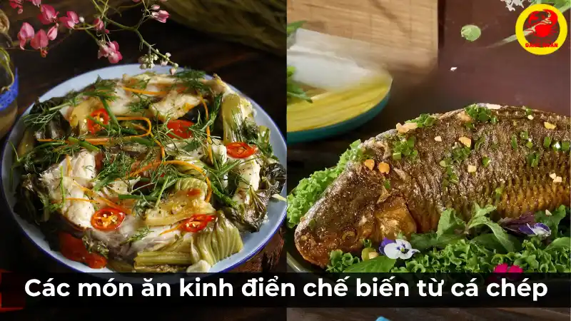 Gợi ý các món ăn kinh điển chế biến từ cá chép