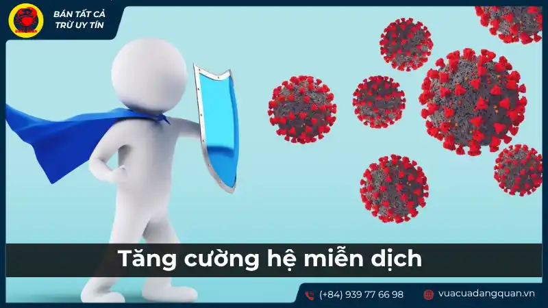 Cá mú: Dinh dưỡng tăng cường hệ miễn dịch và sức khỏe xương khớp.
