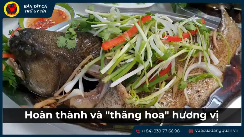 Món cá mú hấp Hồng Kông đã hoàn thành, được trình bày đẹp mắt trên đĩa với rau sống và nước sốt, toát lên hương vị tinh hoa.
