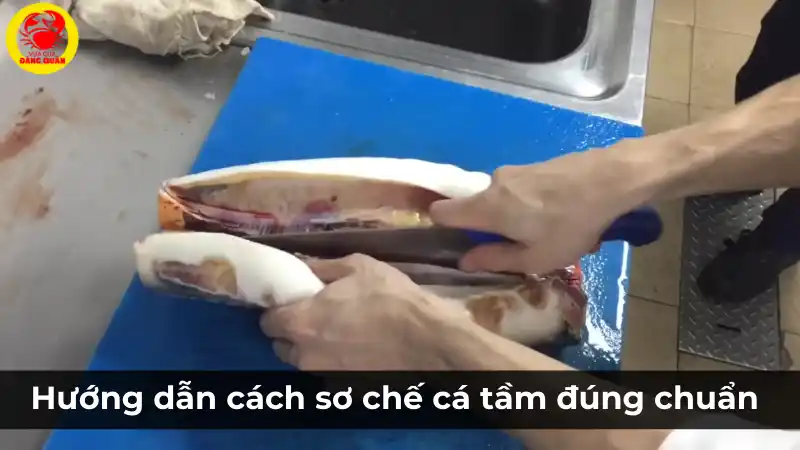 Hướng dẫn sơ chế cá tầm đúng chuẩn tại nhà