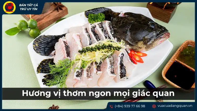 Món cá mú hấp hoặc luộc, được trang trí đẹp mắt với rau thơm, gợi cảm giác thanh đạm và ngon miệng.