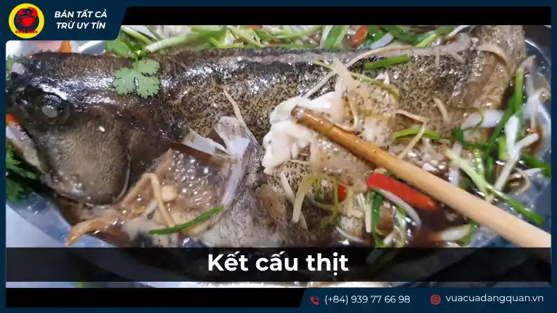 Phi lê cá mú tươi sống được cắt lát hoặc bày trí, cho thấy kết cấu thịt chắc chắn và hấp dẫn. Phi lê cá mú tươi sống được cắt lát hoặc bày trí, cho thấy kết cấu thịt chắc chắn và hấp dẫn.