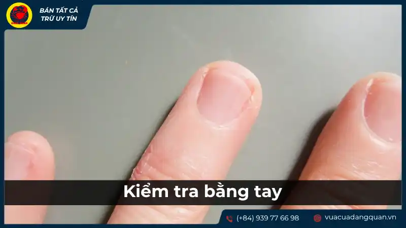 Bàn tay đang chạm vào thân cá, kiểm tra độ đàn hồi và tươi của cá.