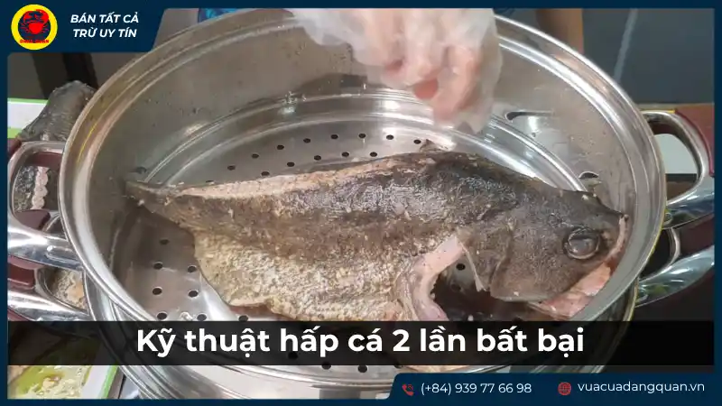 Cá mú nguyên con đang được đặt vào nồi hấp, minh họa kỹ thuật hấp cá.