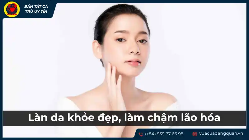 Cá mú: Dưỡng chất cho làn da khỏe đẹp, làm chậm lão hóa.