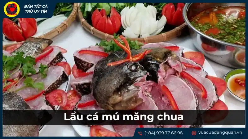 Lẩu cá mú măng chua: Món ngon chua thanh, bổ dưỡng tại Cần Thơ. Lẩu cá mú măng chua: Món ngon chua thanh, bổ dưỡng tại Cần Thơ.