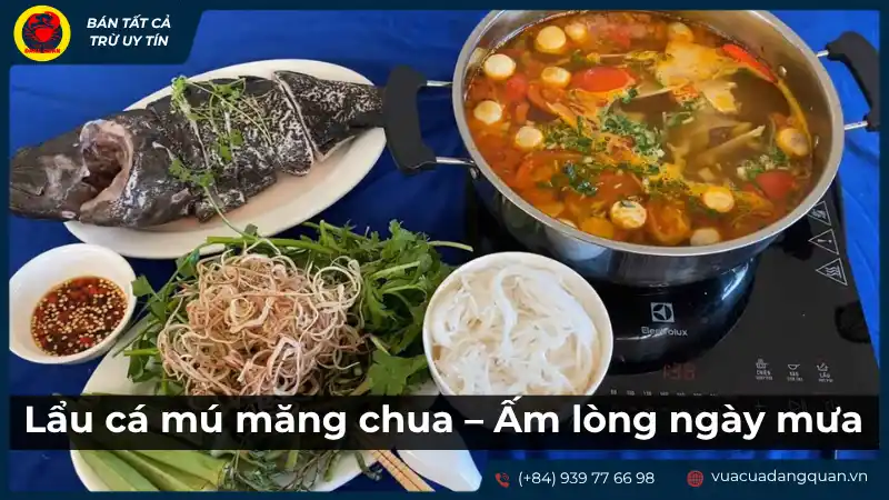 Lẩu cá mú măng chua đang sôi sùng sục trên bếp, kèm theo đĩa cá mú tươi và rau sống, gợi cảm giác ấm nóng và ngon miệng.