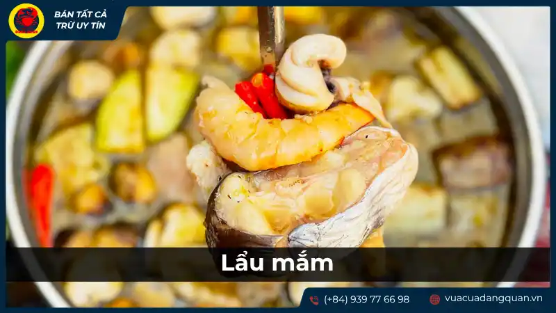 Nồi lẩu mắm Cần Thơ sôi sùng sục, đầy ắp tôm, mực, cá và rau nhúng tươi ngon