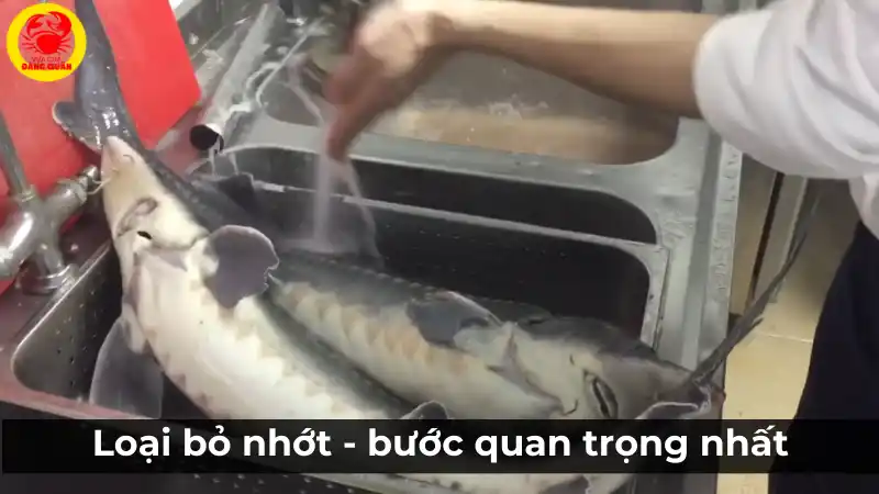 Cách loại bỏ nhớt cá tầm nhanh chóng và hiệu quả.