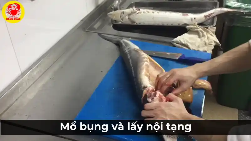 Mổ bụng và lấy nội tạng cá tầm khi sơ chế.