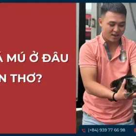 Người bán đang cầm cá mú tươi sống tại quầy hàng, có thể là ở một chợ hoặc vựa cá ở Cần Thơ.