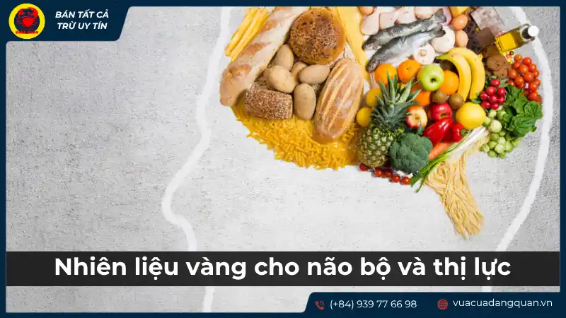 Cá mú: Dinh dưỡng vàng cho não bộ và thị giác.