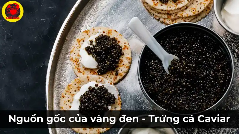 Trứng cá Caviar (vàng đen) và nguồn gốc của nó