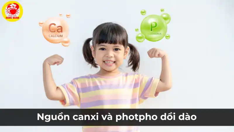 Canxi và Phốt pho dồi dào: Dưỡng chất thiết yếu cho xương chắc khỏe.
