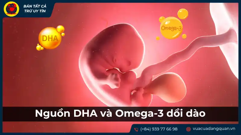Nguồn DHA và Omega-3 dồi dào từ cá mú cho bà bầu.