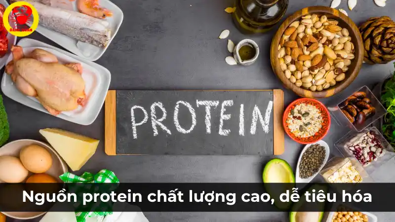 Cá tầm: Nguồn protein chất lượng cao, dễ tiêu hóa.