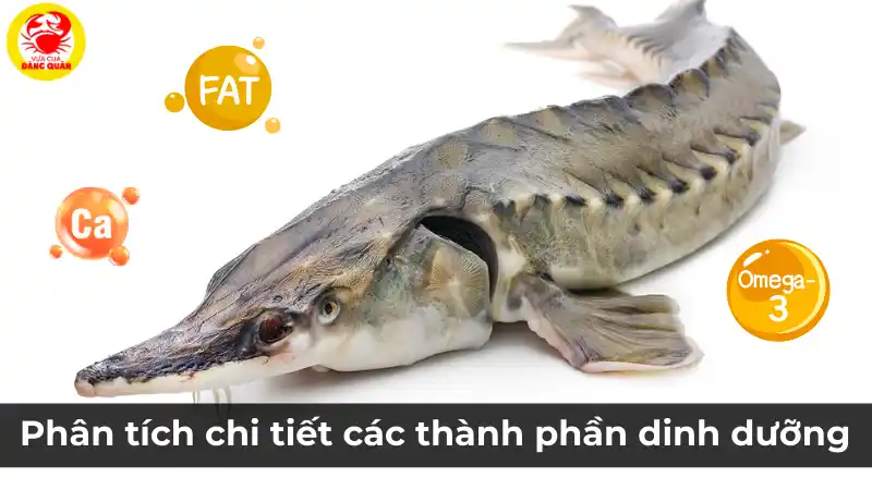 Phân tích chi tiết các thành phần dinh dưỡng của cá tầm
