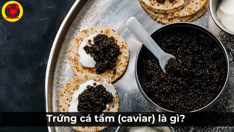 Phân tích chi tiết công dụng của trứng cá tầm Caviar.