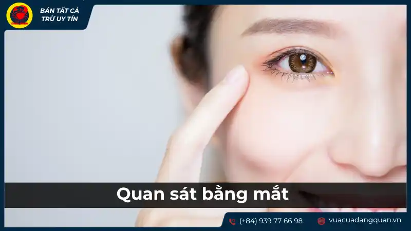 Cận cảnh đôi mắt của một người, tượng trưng cho việc quan sát bằng mắt để nhận biết cá mú tươi.