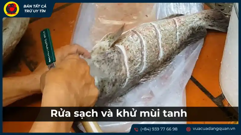Người đang rửa sạch cá mú dưới vòi nước, làm sạch máu và nhớt để loại bỏ mùi tanh.