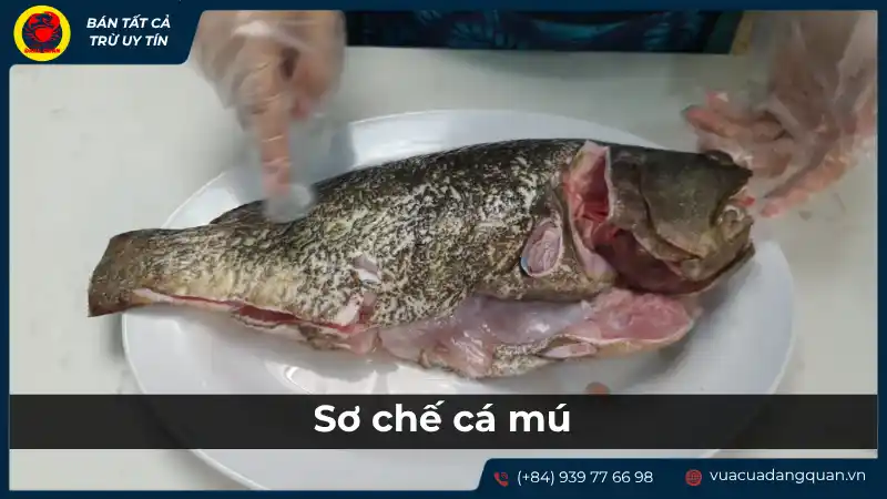 Người đang sơ chế cá mú, có thể đang loại bỏ vảy, ruột hoặc phi lê cá, chuẩn bị cho món cháo cá mú cho bé.