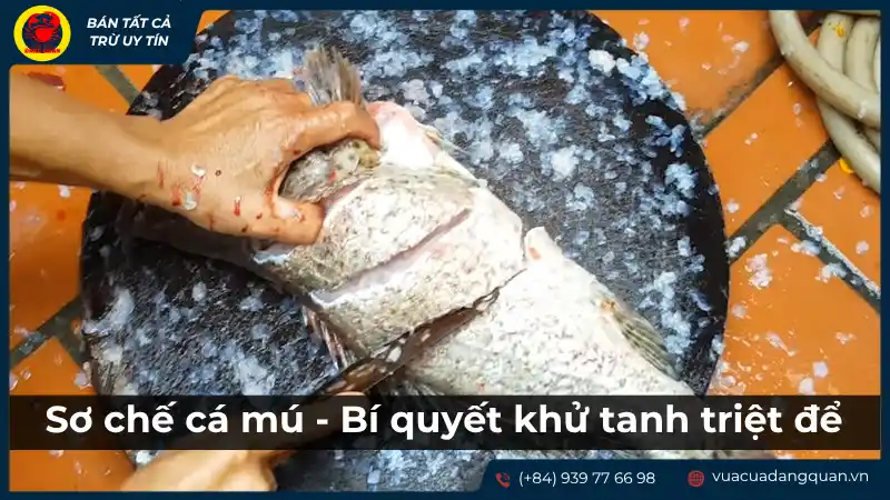 Người đang sơ chế cá mú, loại bỏ vảy hoặc làm sạch cá, chuẩn bị cho món cá mú hấp Hồng Kông.