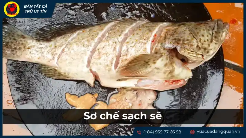 Người đang sơ chế cá mú, có thể là làm sạch vảy hoặc loại bỏ nội tạng, để chuẩn bị bảo quản.