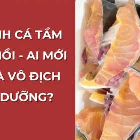 So sánh cá tầm và cá hồi: Ai là vua dinh dưỡng?