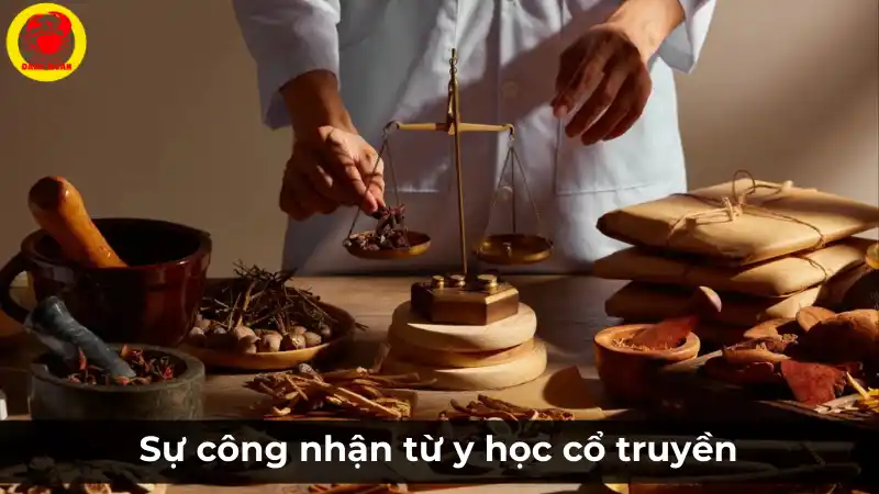 Sự công nhận của y học cổ truyền về lợi ích sức khỏe của cá tầm.