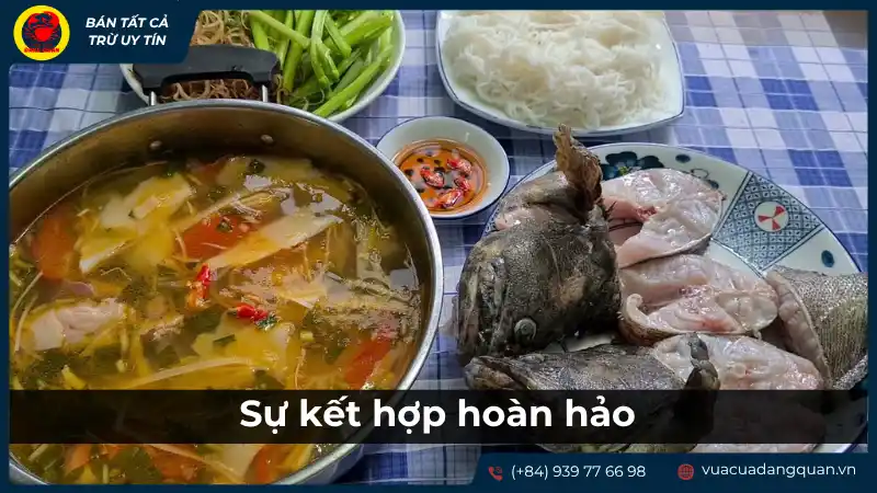 Nồi lẩu cá mú măng chua nóng hổi kèm theo đĩa cá tươi và rau sống, biểu trưng cho sự kết hợp hoàn hảo.
