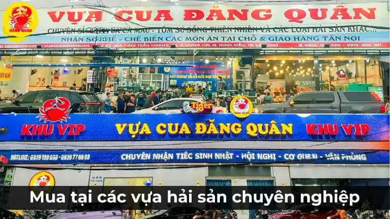 Mua cá tầm tại vựa hải sản chuyên nghiệp Vựa Cua Đăng Quân ở Cần Thơ.