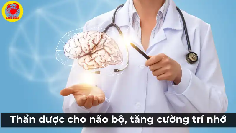 Thần dược cho não bộ: Trứng cá tầm giúp tăng cường trí nhớ.