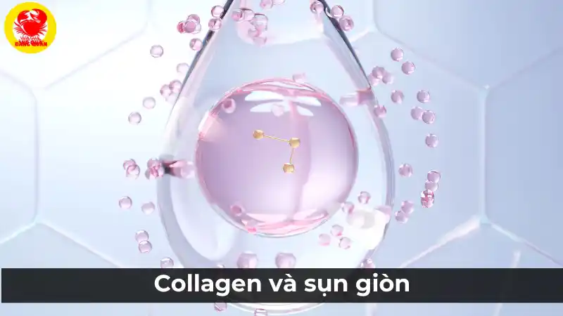 Collagen và sụn giòn: So sánh nguồn Collagen từ cá tầm và cá hồi.