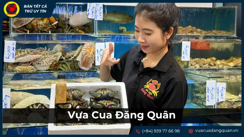 Vựa Cua Đặng Quân: Địa chỉ uy tín cho hải sản tươi ngon tại Cần Thơ