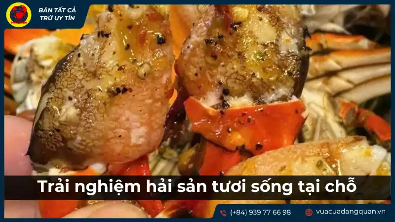 Hải sản tươi sống được bày biện hấp dẫn, sẵn sàng để chế biến và thưởng thức tại Vựa Cua Đặng Quân
