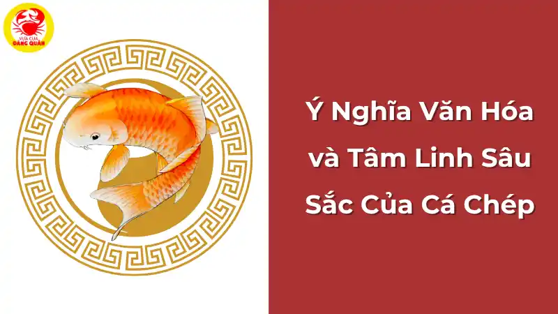 Ý nghĩa văn hóa và tâm linh sâu sắc của cá chép