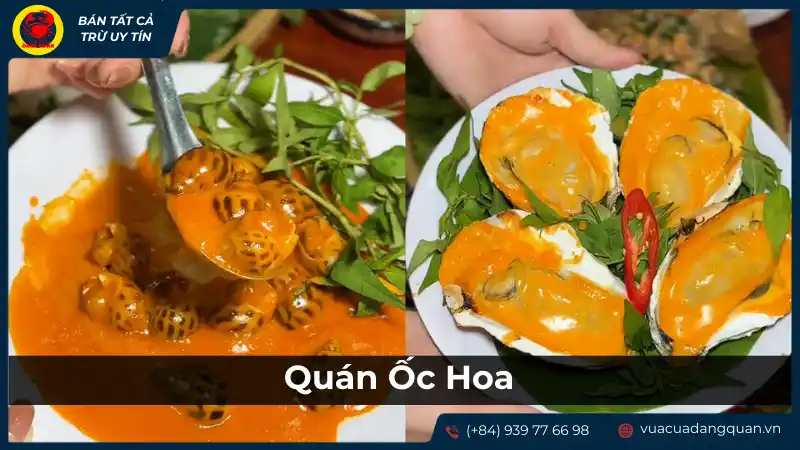 Món ốc hương xào sốt me tại Quán Ốc Hoa, thơm ngon và đậm đà