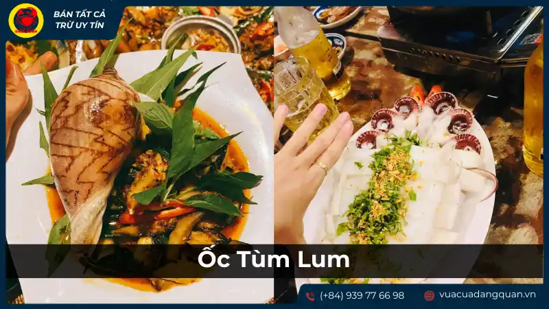Các món ốc và hải sản đa dạng, hấp dẫn tại Quán Ốc Tùm Lum