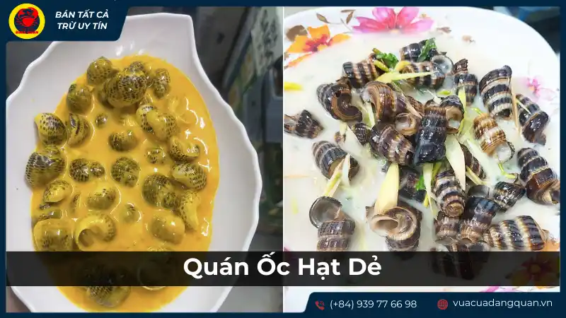Các món ốc ngon và giá cả phải chăng tại Quán Ốc Hạt Dẻ