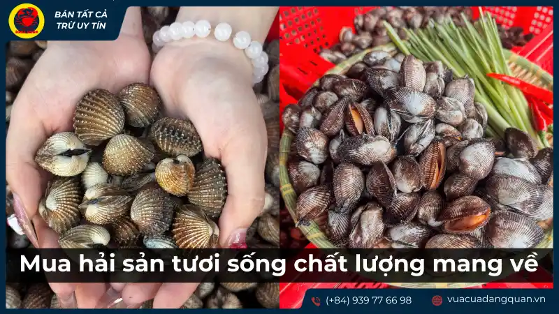 Các loại hải sản tươi sống chất lượng, có thể mua mang về tại Cần Thơ