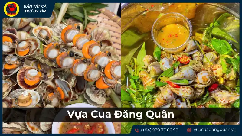 Các món hải sản tươi ngon và đa dạng tại Vựa Cua Đặng Quân