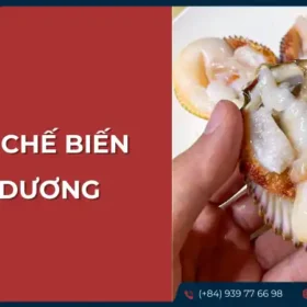 Cách chế biến sò dương tươi ngon đơn giản tại nhà