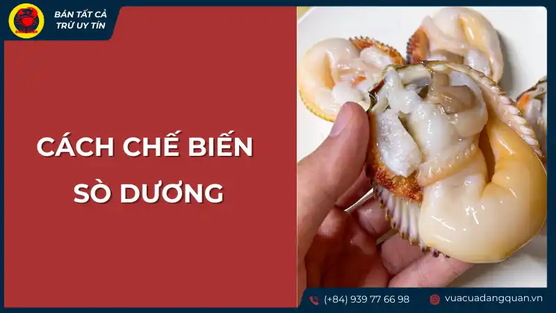 Cách chế biến sò dương tươi ngon đơn giản tại nhà
