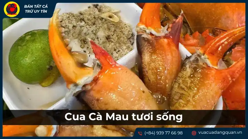 Cua Cà Mau tươi sống được bày biện hấp dẫn, là một trong những đặc sản Cần Thơ