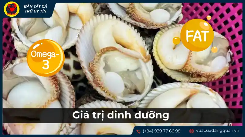 Giá trị dinh dưỡng và lợi ích sức khỏe của sò dương